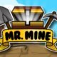 Mr. Mine Game