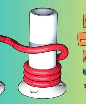 Rope Color Sort 3D Game