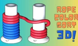 Rope Color Sort 3D Game